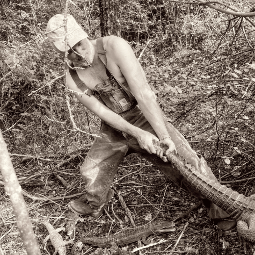 trailer of horrors (2)